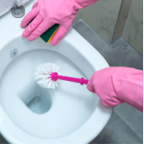 Entretien WC & Sanitaires