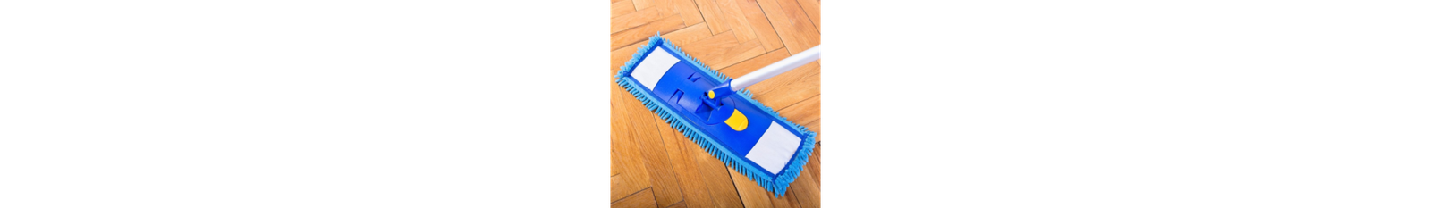 Support & Accessoires